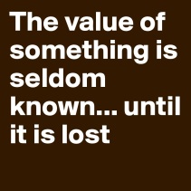The-value-of-something-is-seldom-known-until-it-is